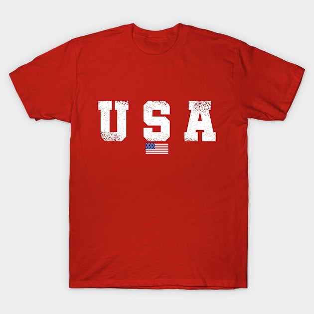 USA FLAG T-Shirt by Poppa's Designs